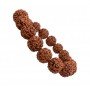 7 Mukhi Rudraksha Bracelet