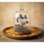Pyrite Dome Tree