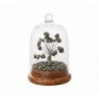 Pyrite Dome Tree