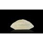 Natural White Sapphire 6.69 Carat