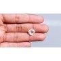 Natural Pitambari 6.77 Carat