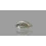 Natural Pitambari 3.61 Carat