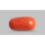 Natural Red Coral 5.96 Carat