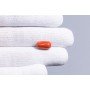 Natural Red Coral 5.96 Carat