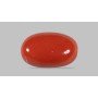 Natural Red Coral 7.34 Carat