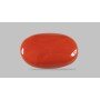 Natural Red Coral 7.34 Carat