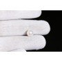 Natural Pearl 4.47 Carat