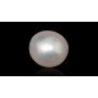 Natural Pearl 7.81 Carat