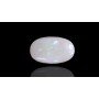 Natural Opal 10.88 Carat