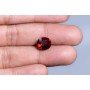 Natural Hessonite Gomed 5.79 Carat