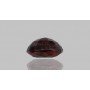 Natural Hessonite Gomed 10.46 Carat