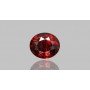 Natural Hessonite Gomed 11.67 Carat