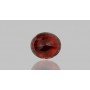 Natural Hessonite Gomed 11.67 Carat