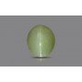 Natural Cat's Eye 4.86 Carat