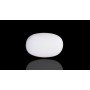 Natural White Coral 9.4 Carat