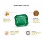 Emerald Panna