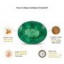 Zambian Emerald (Panna)