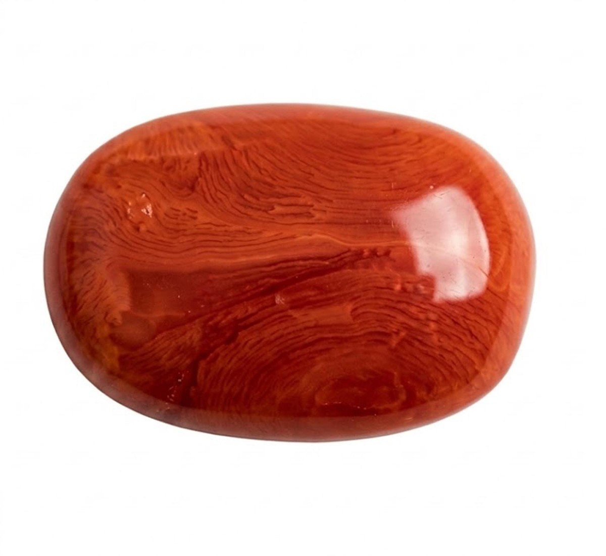 Moonga Red Coral