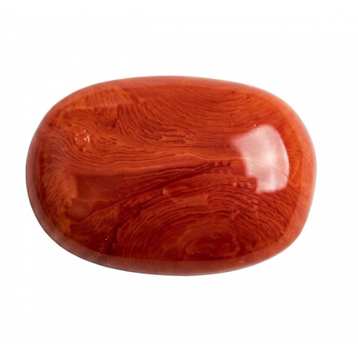 Moonga Red Coral