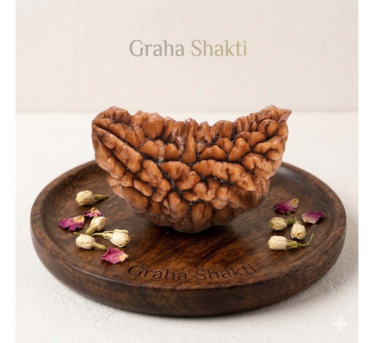 Natural 1 Mukhi Rudraksha 