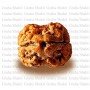 Natural 2 Mukhi Rudraksha 