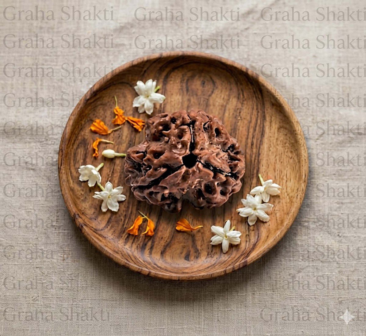 Natural 3 Mukhi Rudraksha  