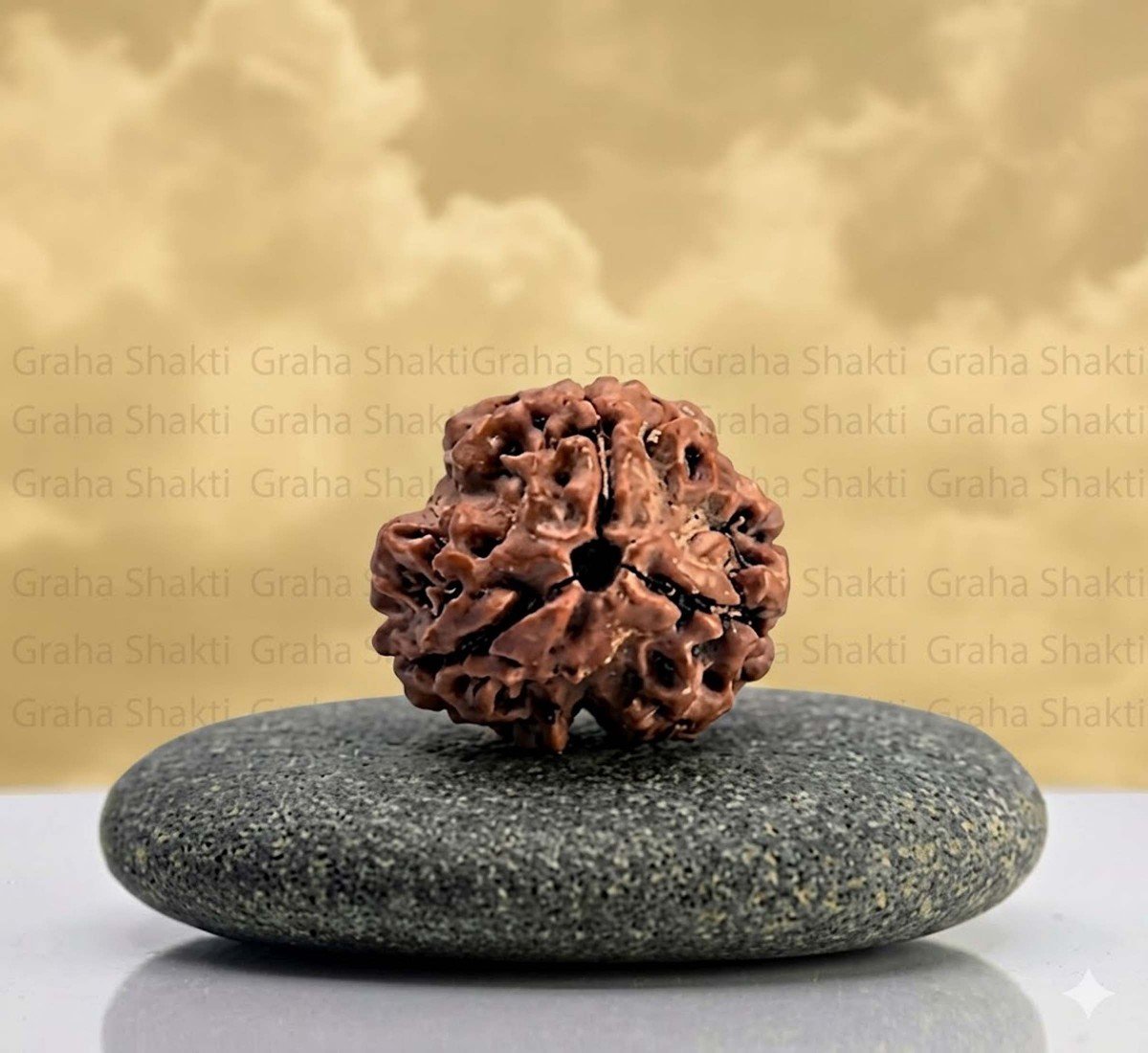 Natural 3 Mukhi Rudraksha  
