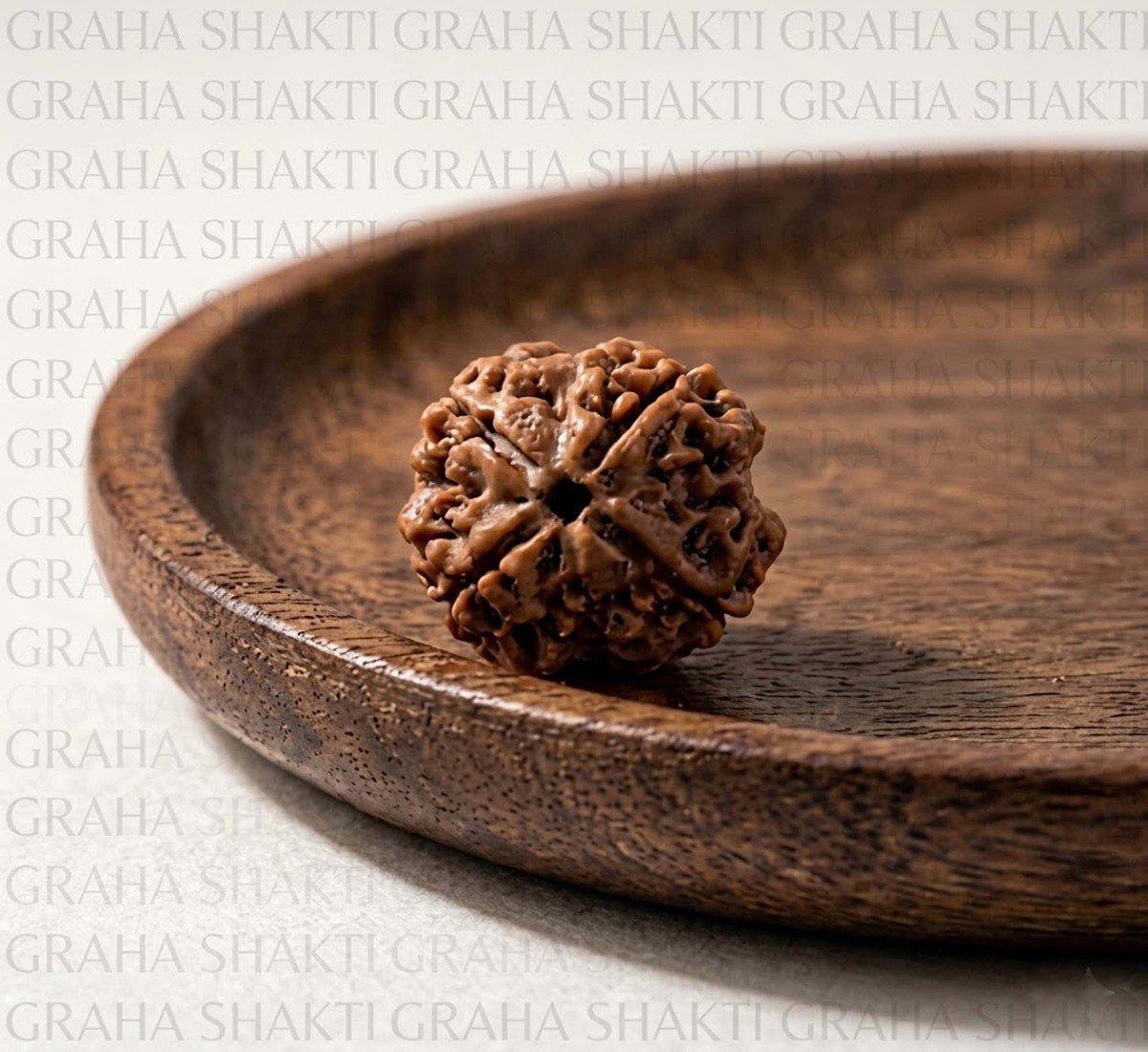 Natural 4 Mukhi Rudraksha (Nepali)