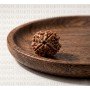 Natural 4 Mukhi Rudraksha (Nepali)