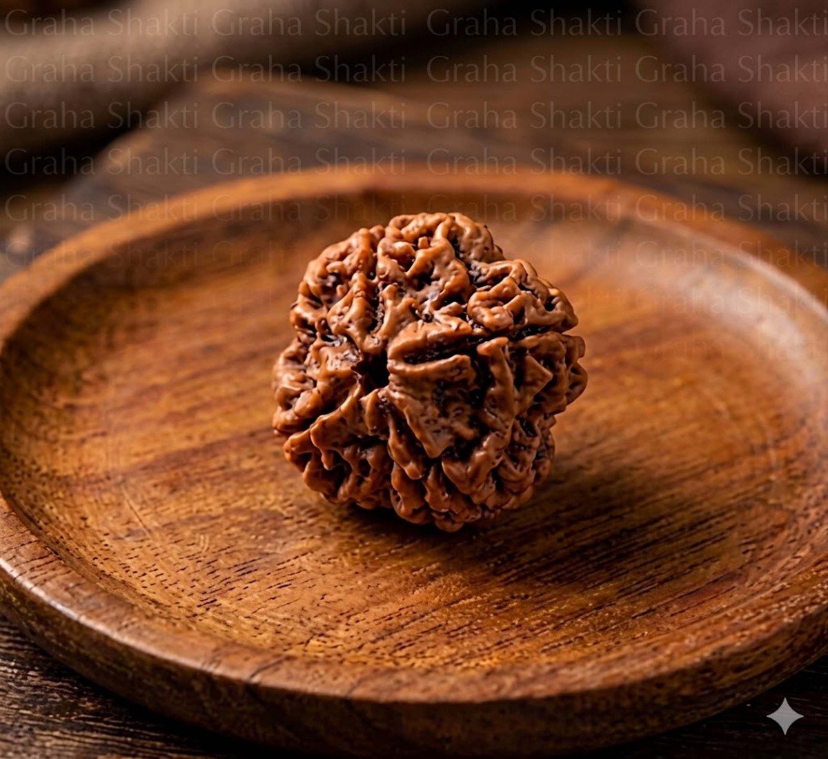 Natural 5 Mukhi Rudraksha (Nepali)