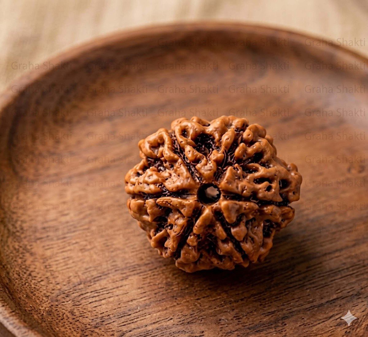 Natural 6 Mukhi Rudraksha (Nepali)