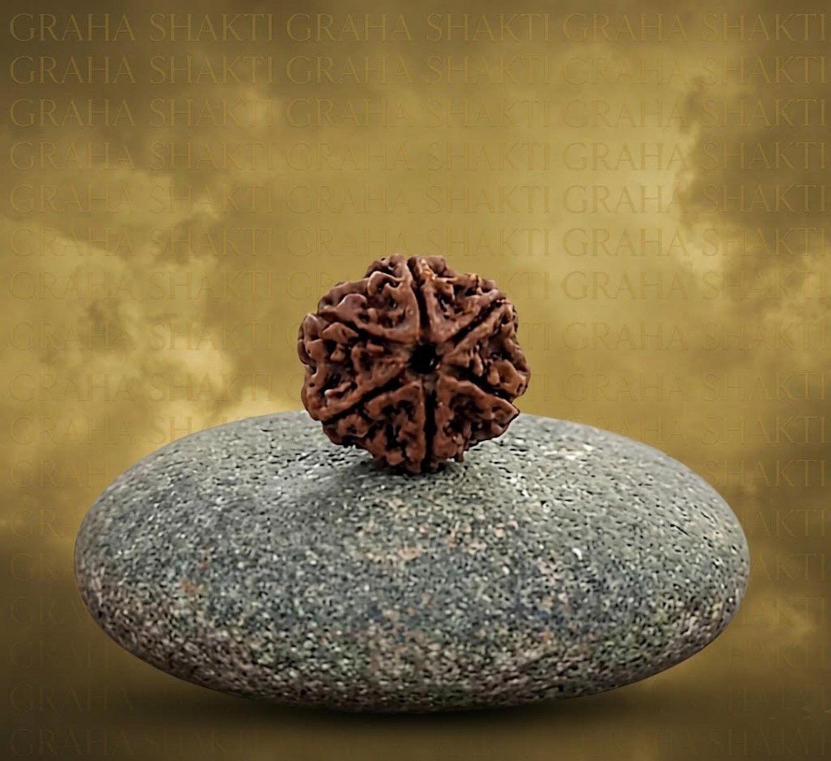 Natural 6 Mukhi Rudraksha (Nepali)