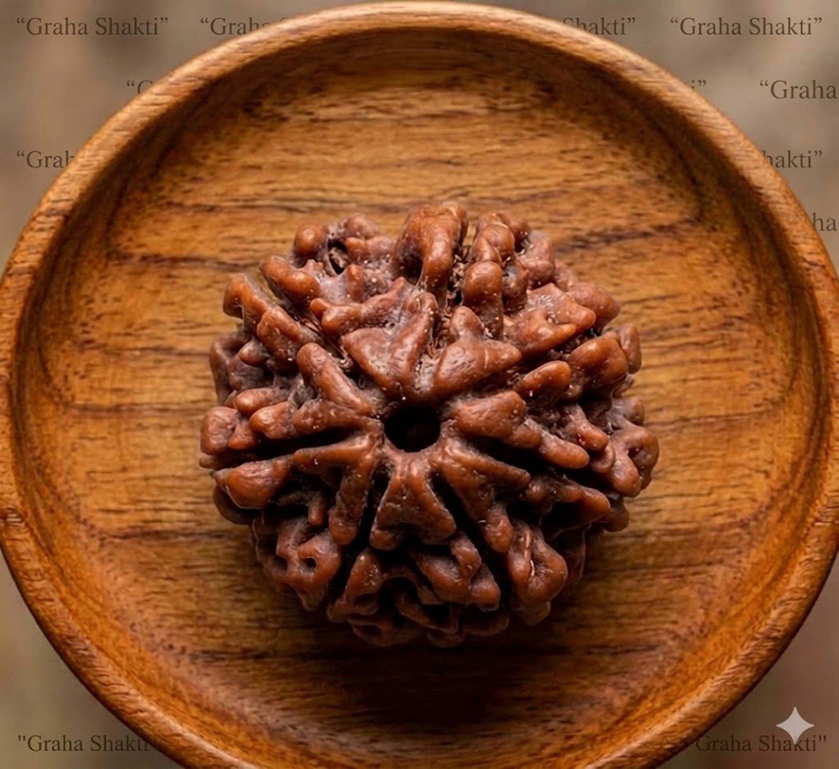 Natural7 Mukhi Rudraksha 