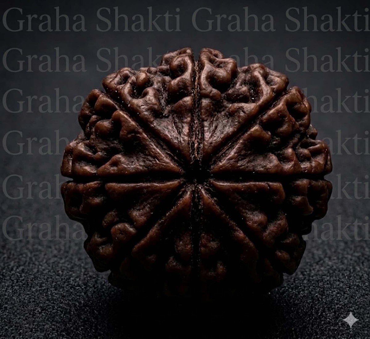 NaturaL 8 Mukhi Rudraksha 
