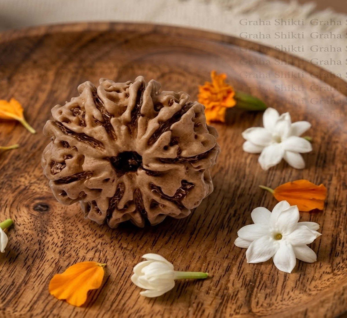 Natural 9 Mukhi Rudraksha 