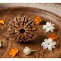 Natural 9 Mukhi Rudraksha 