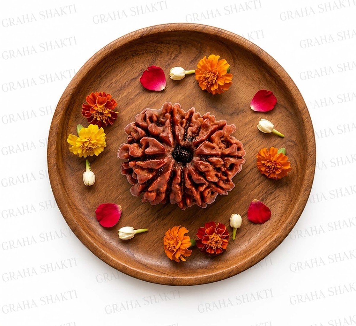Natural 12 Mukhi Rudraksha 
