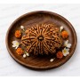 Natural 13 Mukhi Rudraksha 