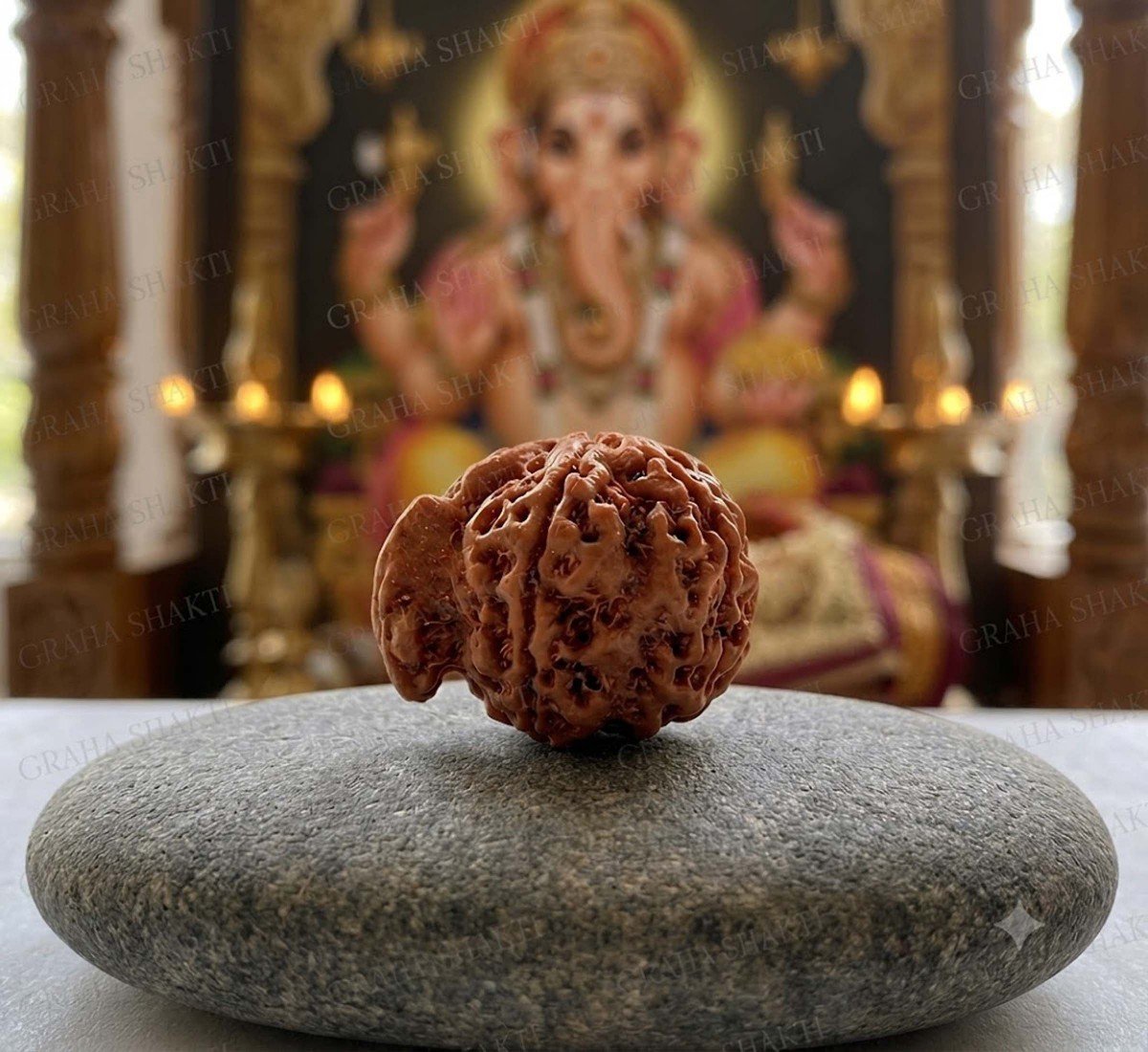 Ganesh Mukhi Rudraksha