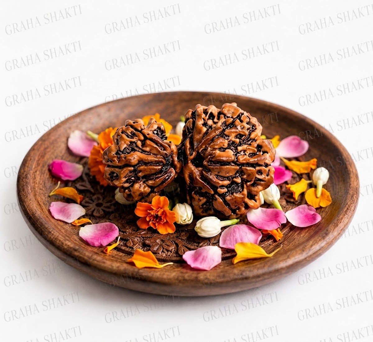 Garb Gauri Rudraksha