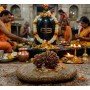 Garb Gauri Rudraksha