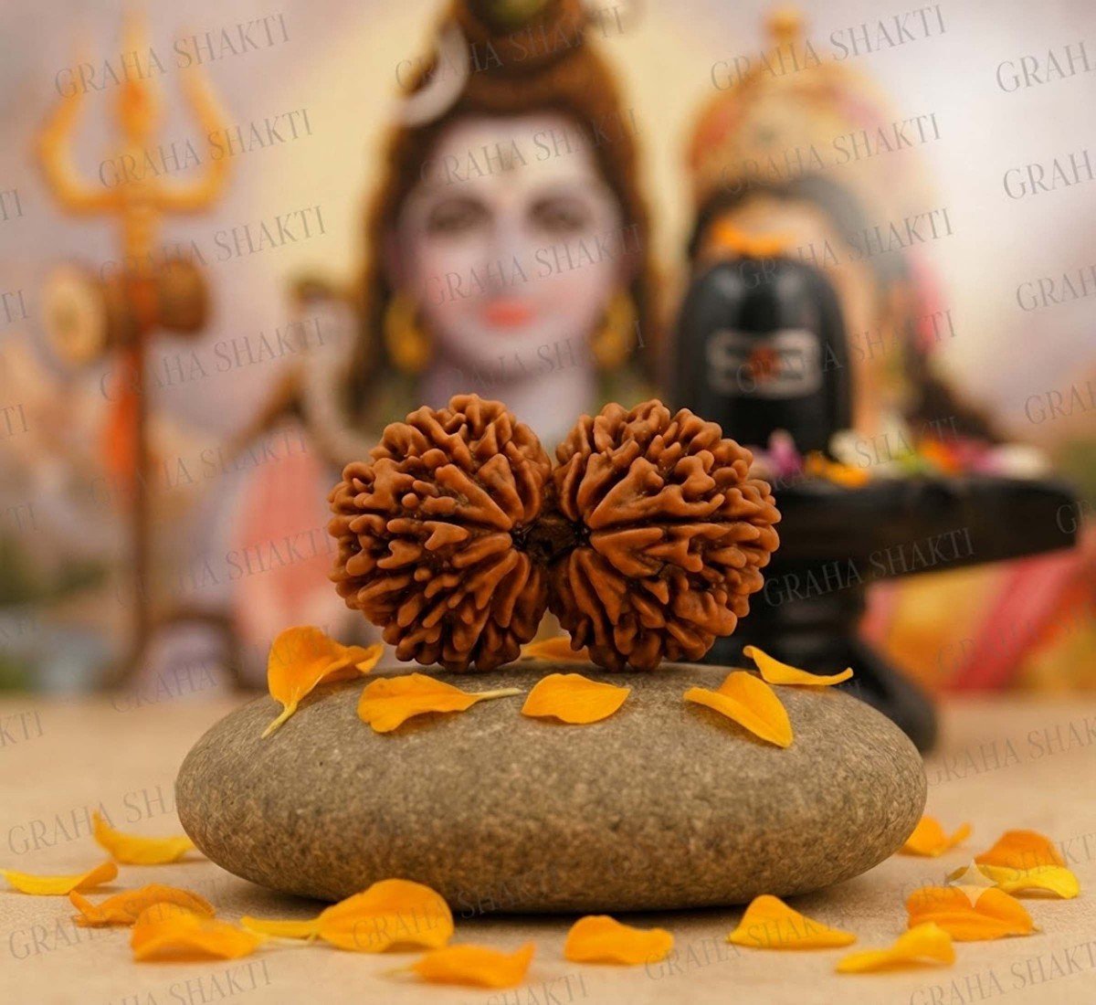 Gauri Shankar Rudraksha