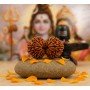 Gauri Shankar Rudraksha