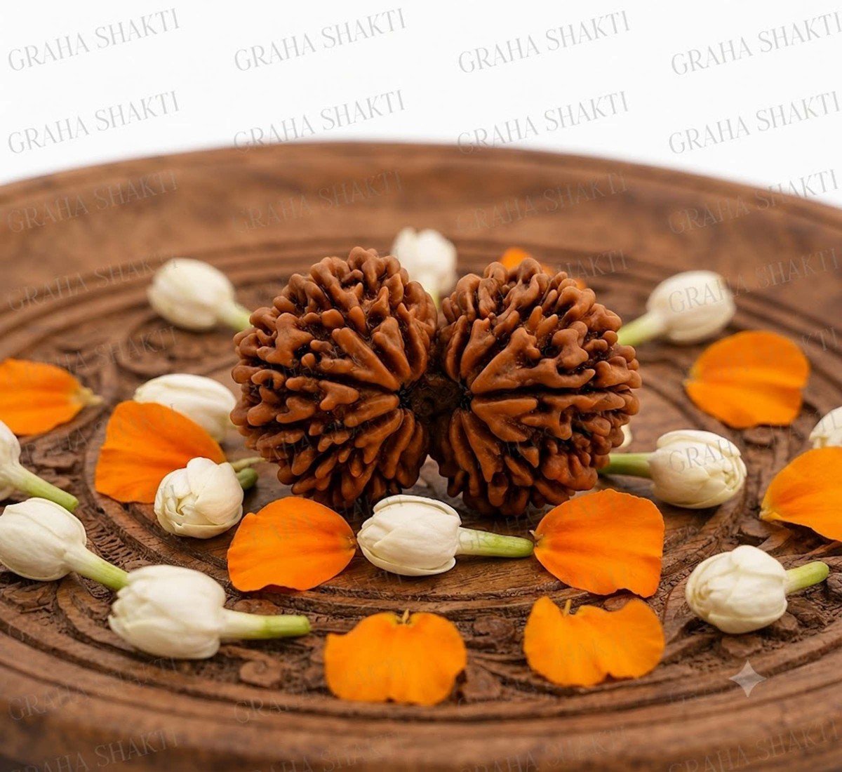 Gauri Shankar Rudraksha