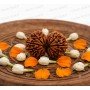 Gauri Shankar Rudraksha