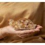 Vastu Citrine Tortoise