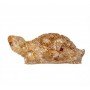 Vastu Citrine Tortoise