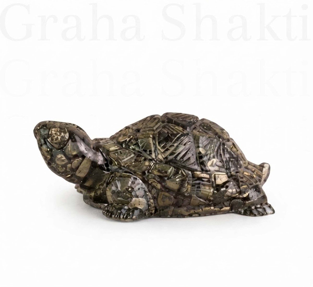 Rinmukteshwar Siddh Pyrite Tortoise