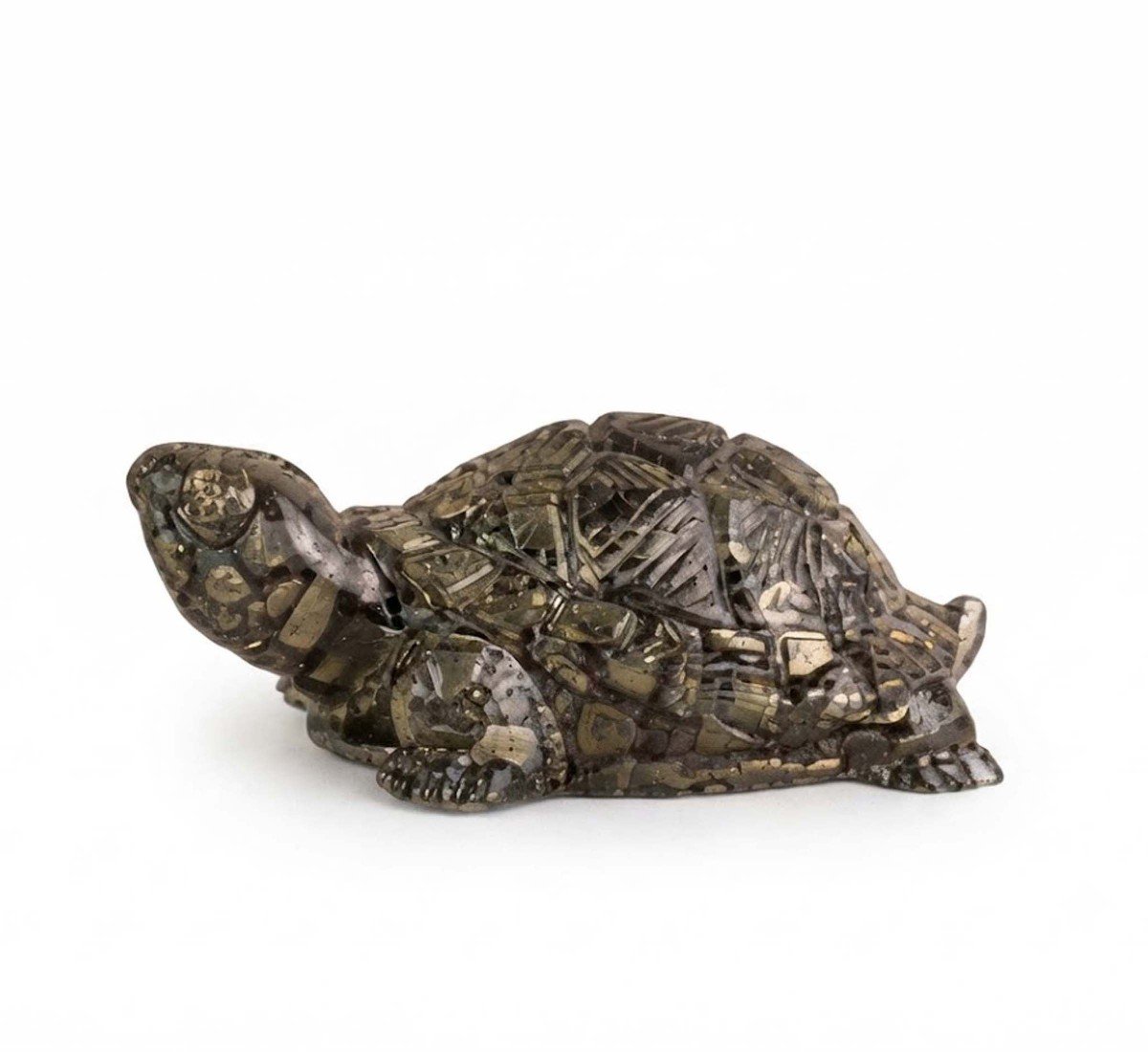 Rinmukteshwar Siddh Pyrite Tortoise
