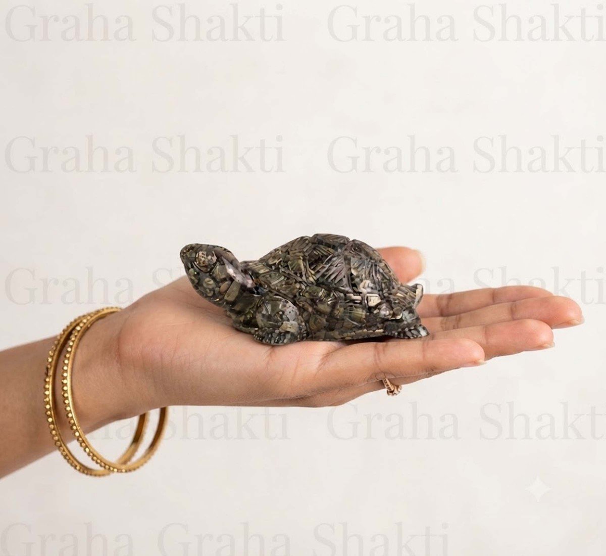 Rinmukteshwar Siddh Pyrite Tortoise